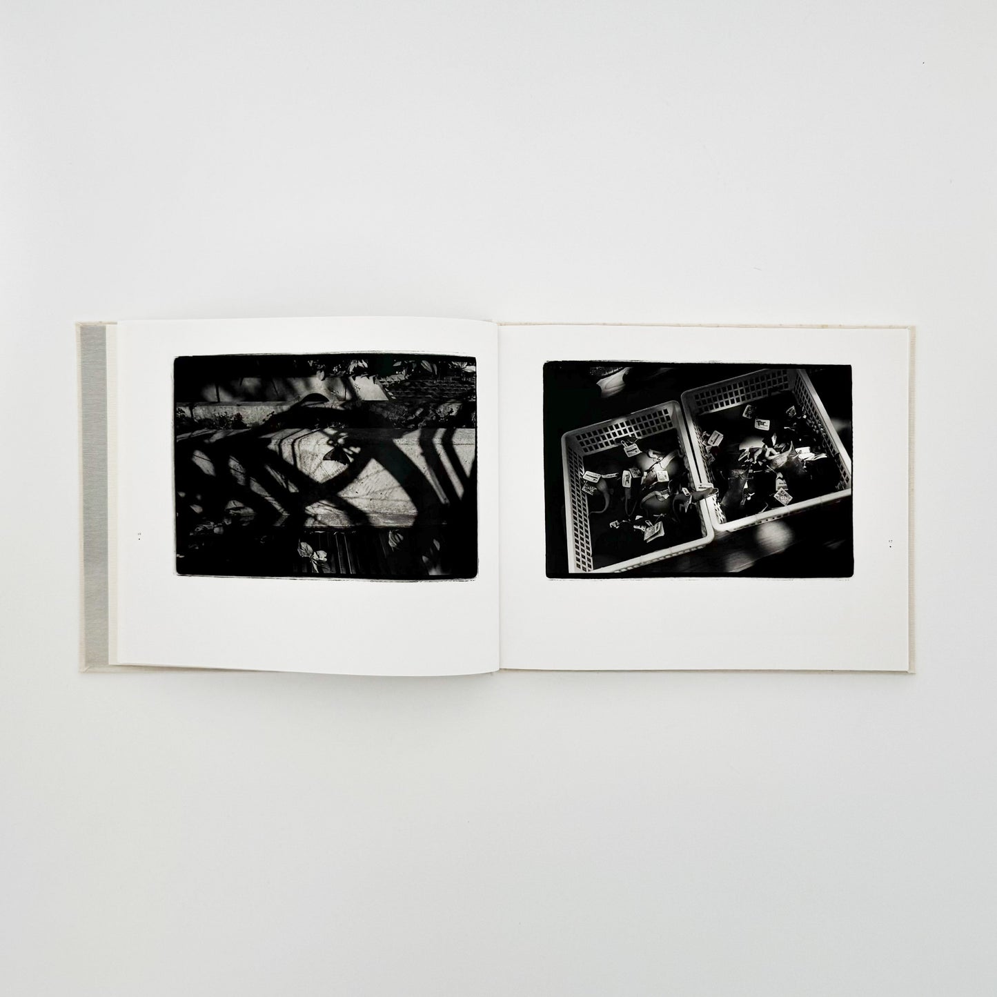 原芳市　常世の虫　TOKOYO NO MUSHI（サイン入り） 蒼穹舎