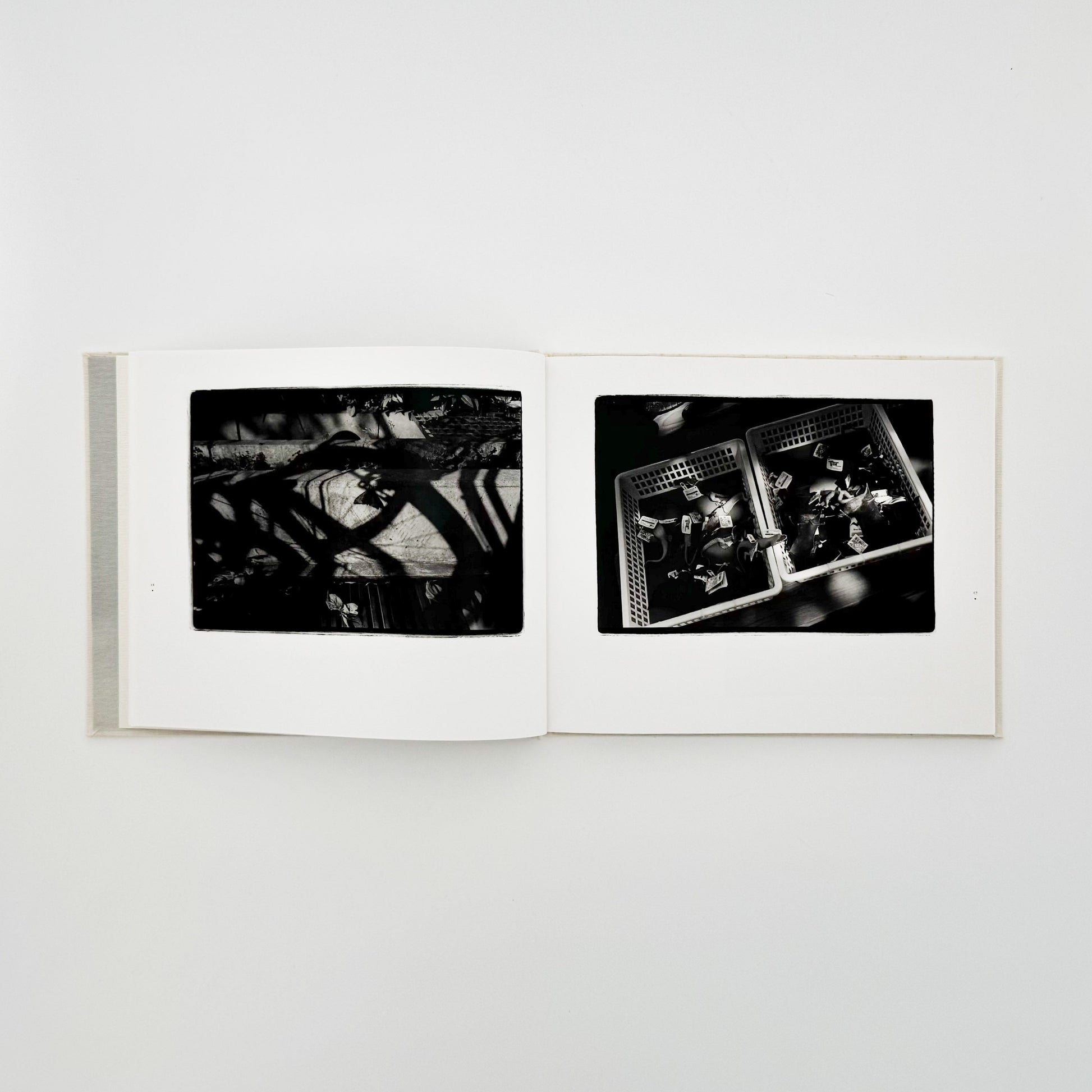 原芳市　常世の虫　TOKOYO NO MUSHI（サイン入り） 蒼穹舎