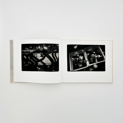 原芳市　常世の虫　TOKOYO NO MUSHI（サイン入り） 蒼穹舎