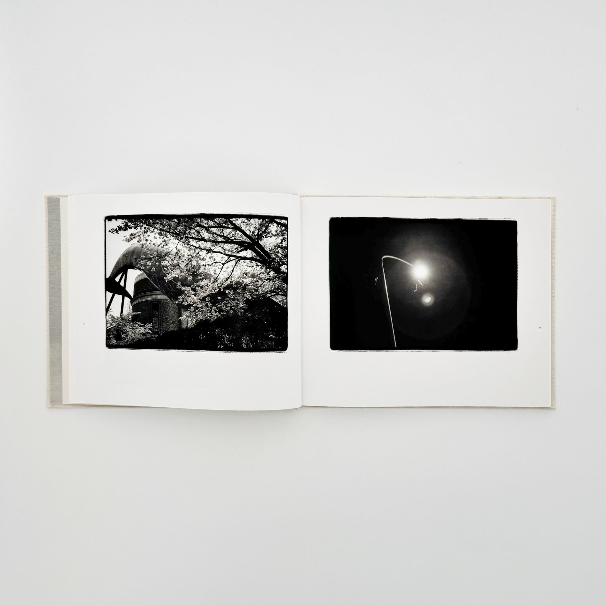 原芳市　常世の虫　TOKOYO NO MUSHI（サイン入り） 蒼穹舎