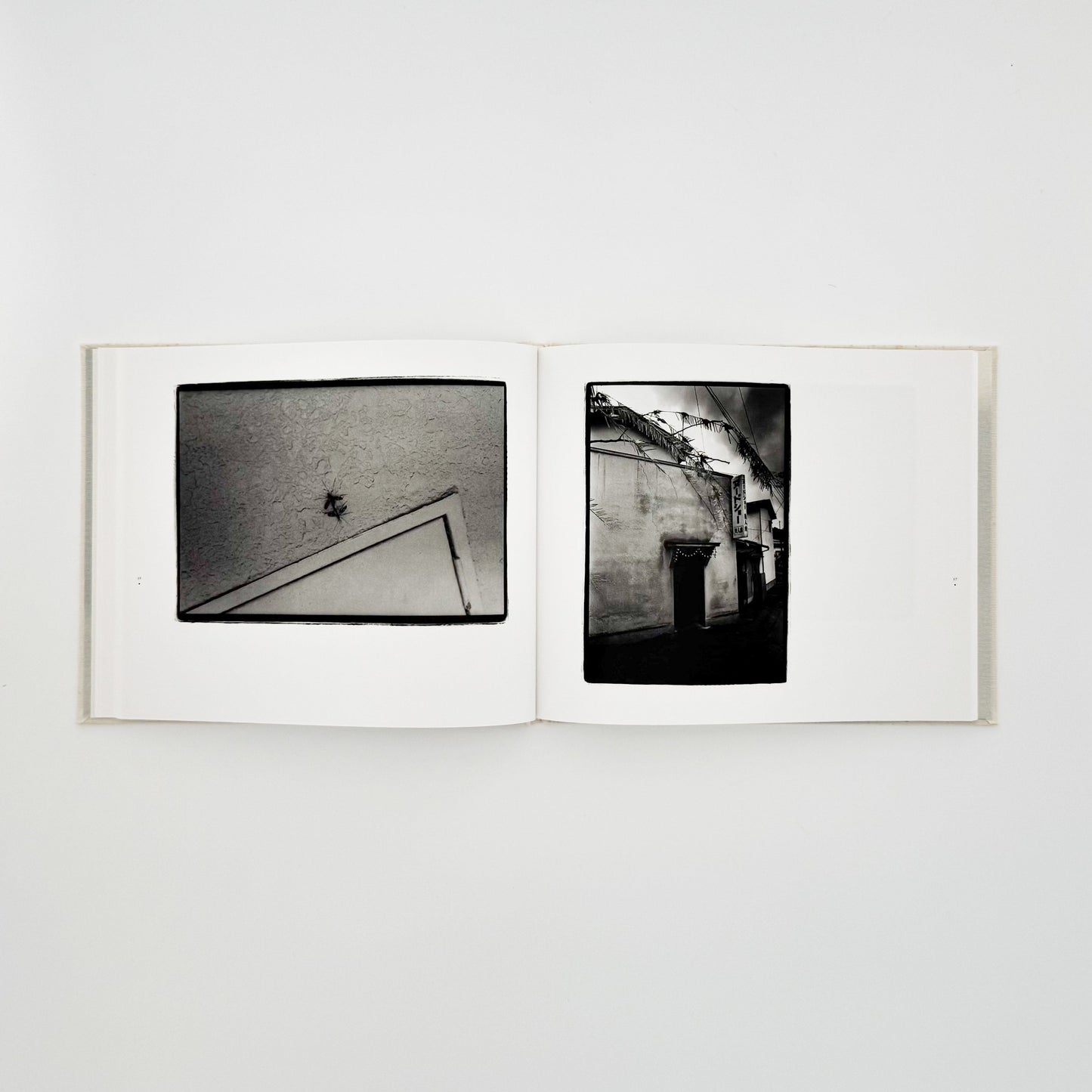 原芳市　常世の虫　TOKOYO NO MUSHI（サイン入り） 蒼穹舎