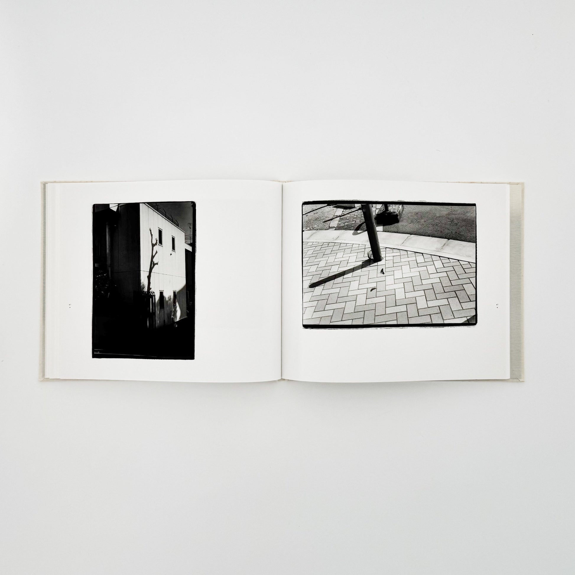 原芳市　常世の虫　TOKOYO NO MUSHI（サイン入り） 蒼穹舎