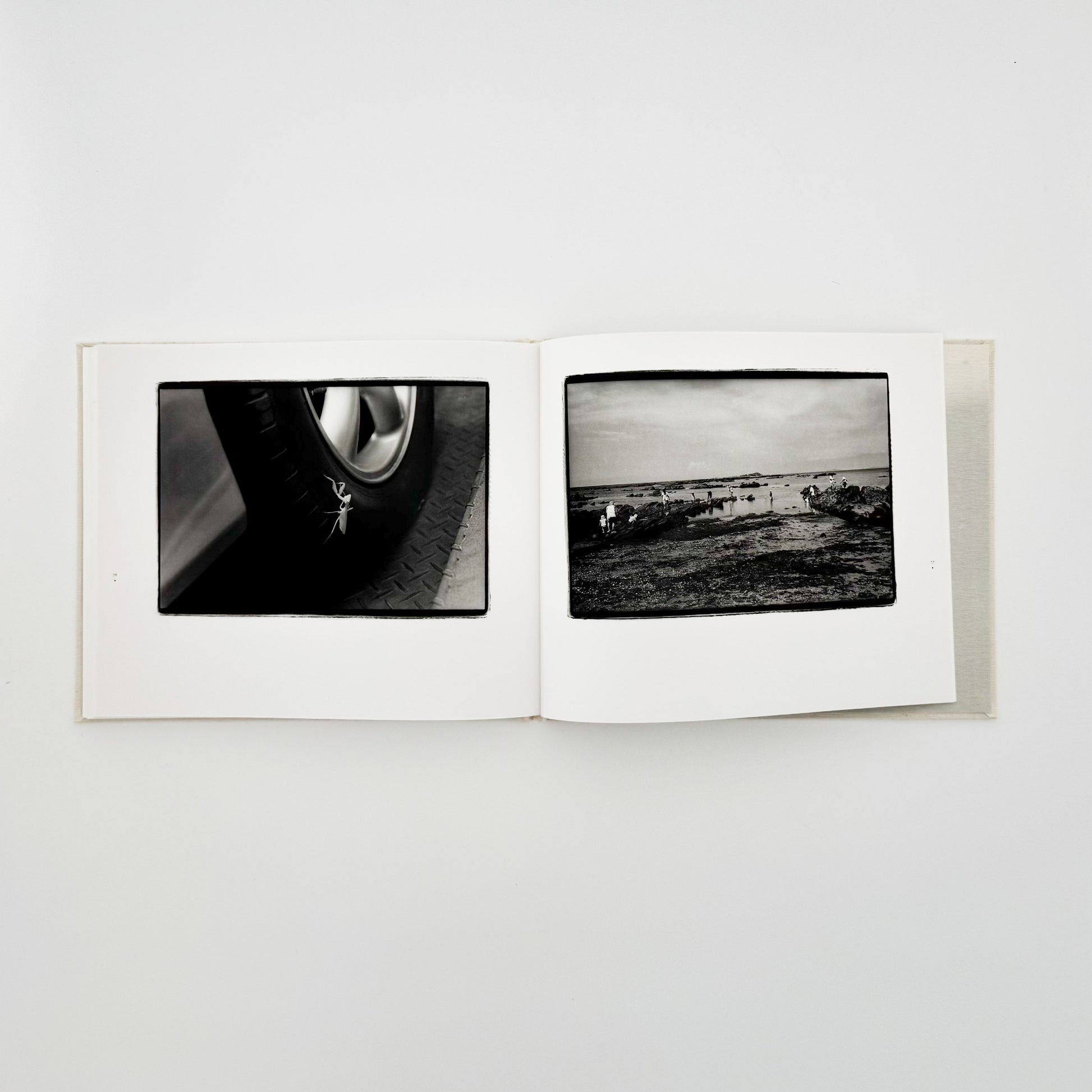 原芳市　常世の虫　TOKOYO NO MUSHI（サイン入り） 蒼穹舎