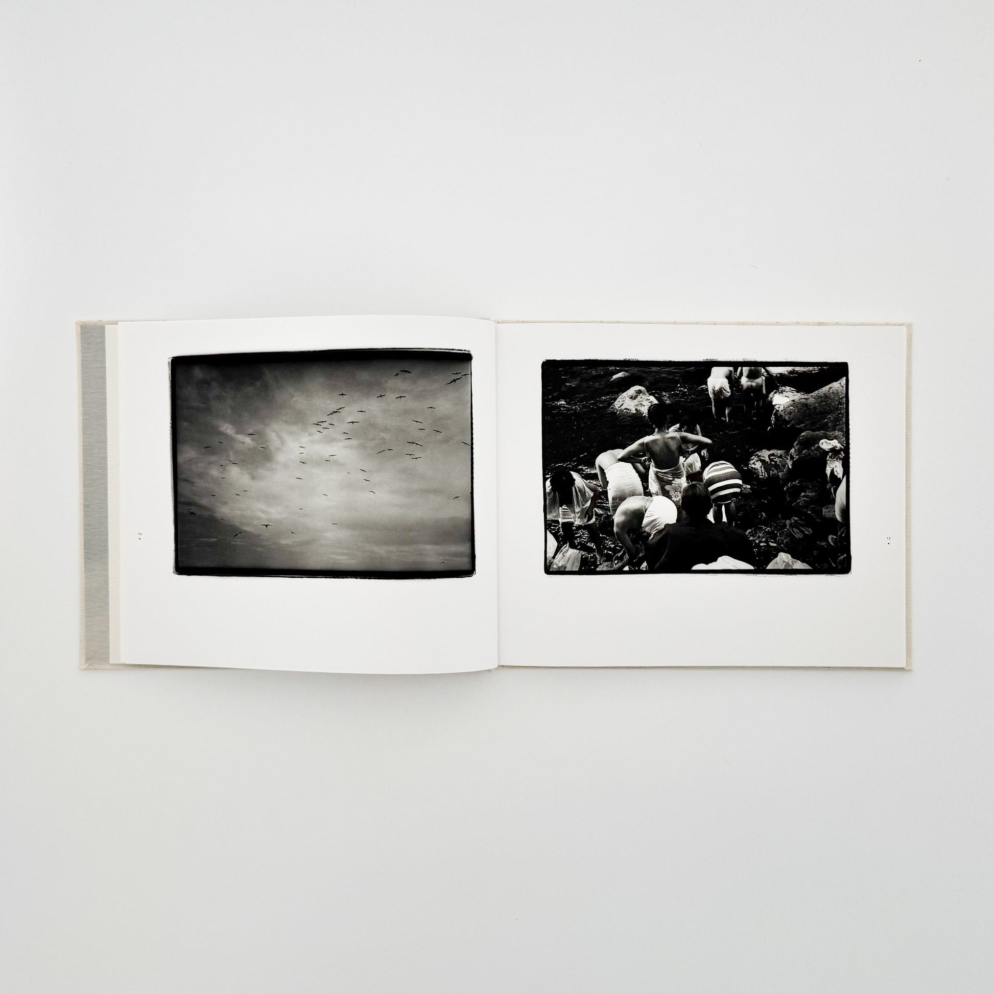 原芳市　常世の虫　TOKOYO NO MUSHI（サイン入り） 蒼穹舎