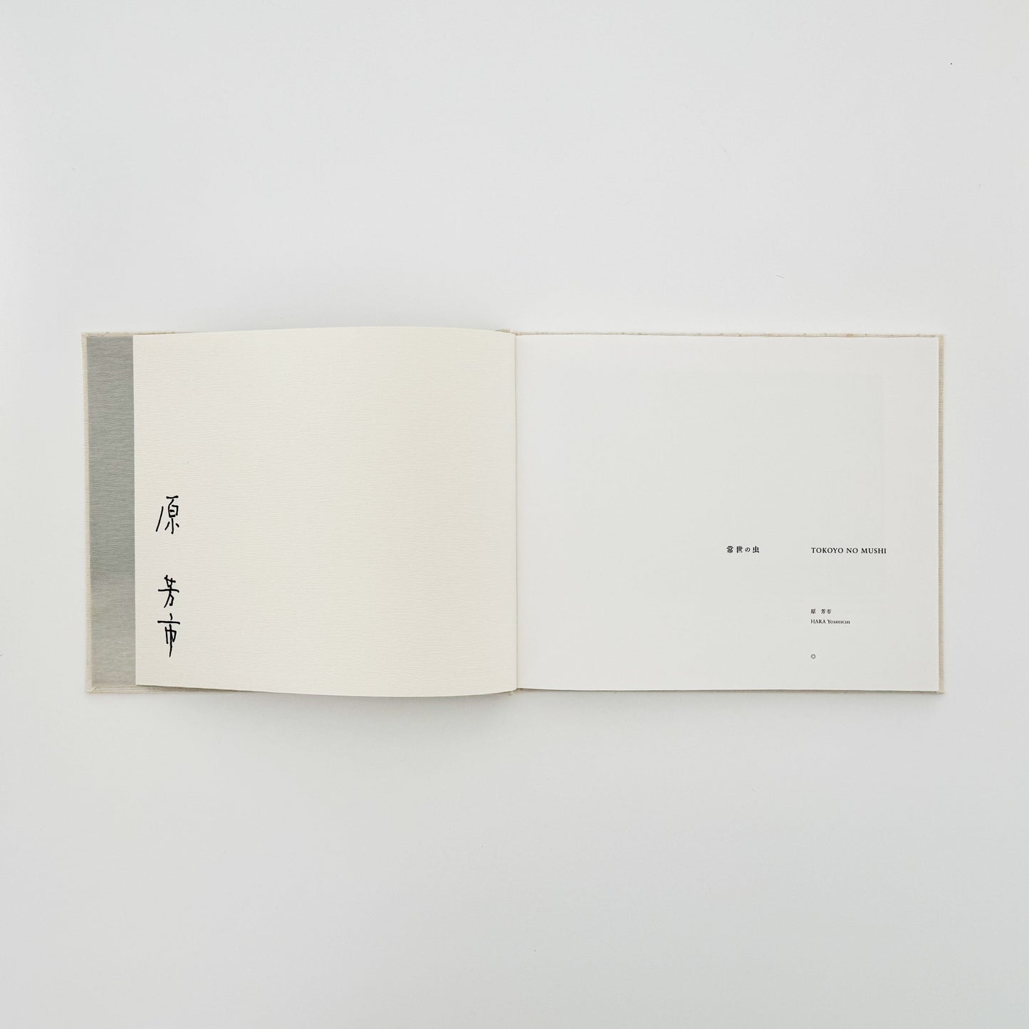 原芳市　常世の虫　TOKOYO NO MUSHI（サイン入り） 蒼穹舎