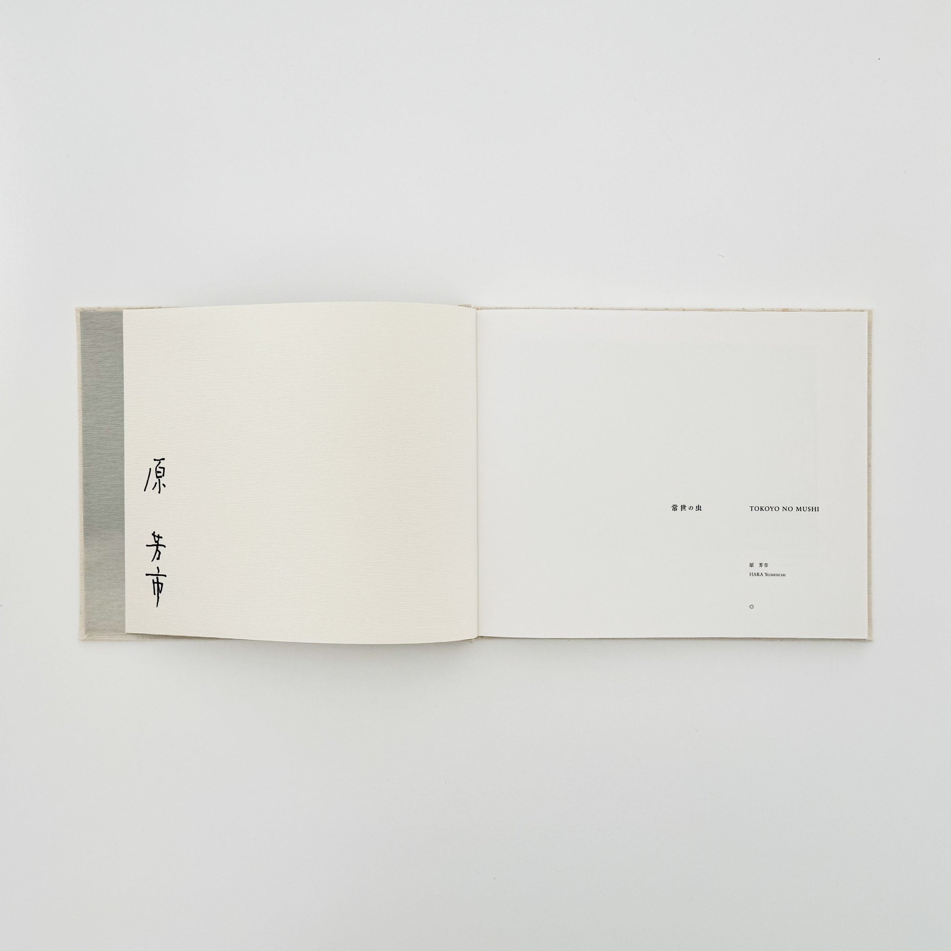 原芳市　常世の虫　TOKOYO NO MUSHI（サイン入り） 蒼穹舎