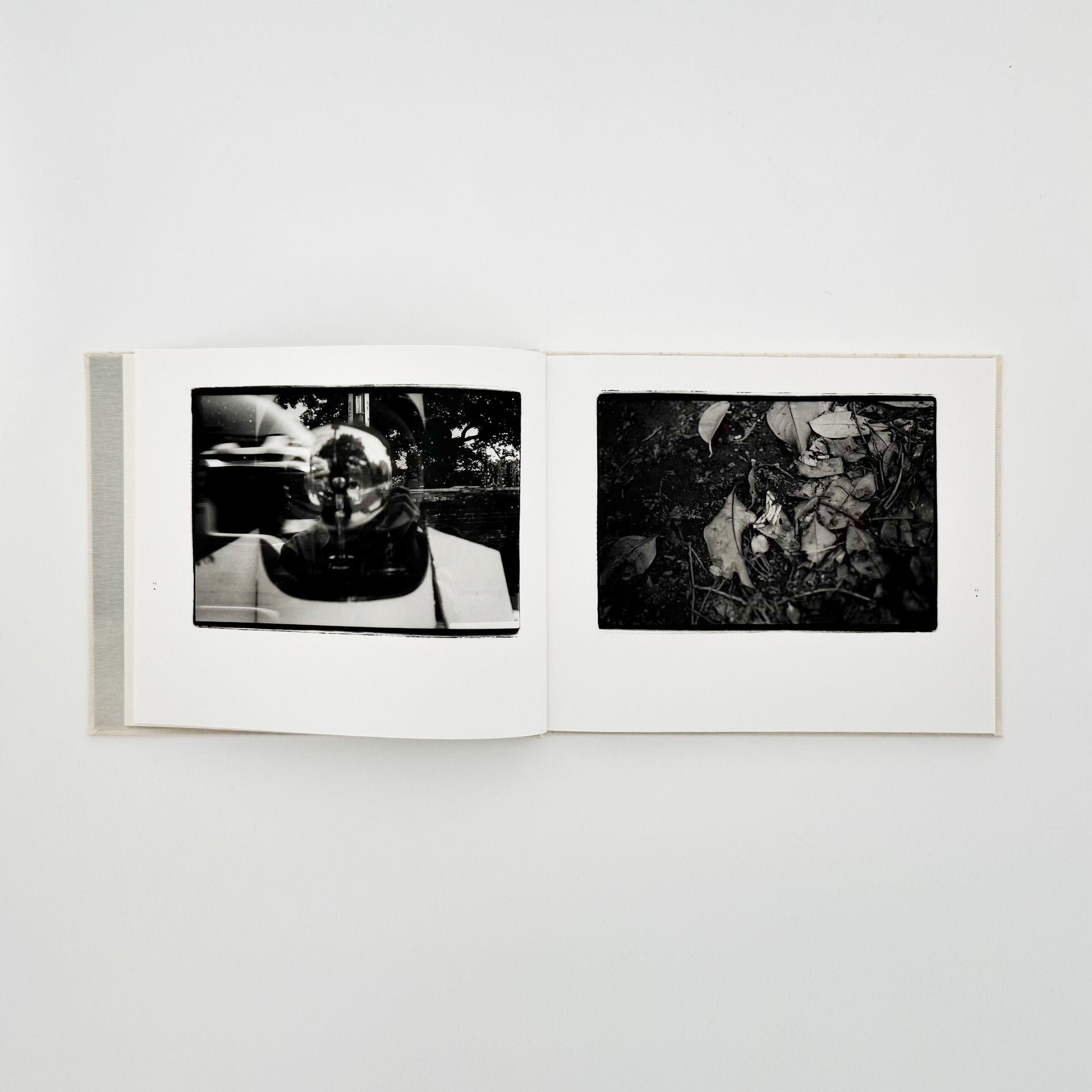 原芳市　常世の虫　TOKOYO NO MUSHI（サイン入り） 蒼穹舎