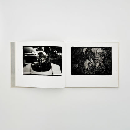 原芳市　常世の虫　TOKOYO NO MUSHI（サイン入り） 蒼穹舎