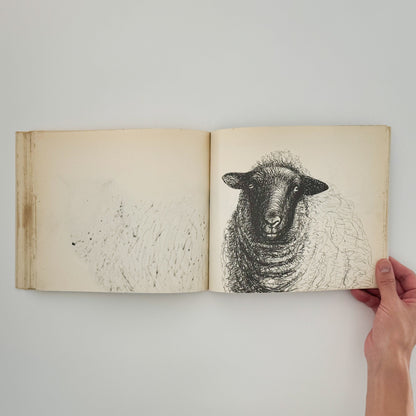 ヘンリー・ムーア　羊のスケッチブック Henry Moore's Sheep Sketchbook THAMES AND HUDSON