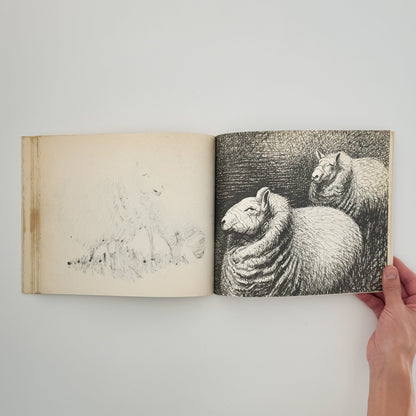 ヘンリー・ムーア　羊のスケッチブック Henry Moore's Sheep Sketchbook THAMES AND HUDSON