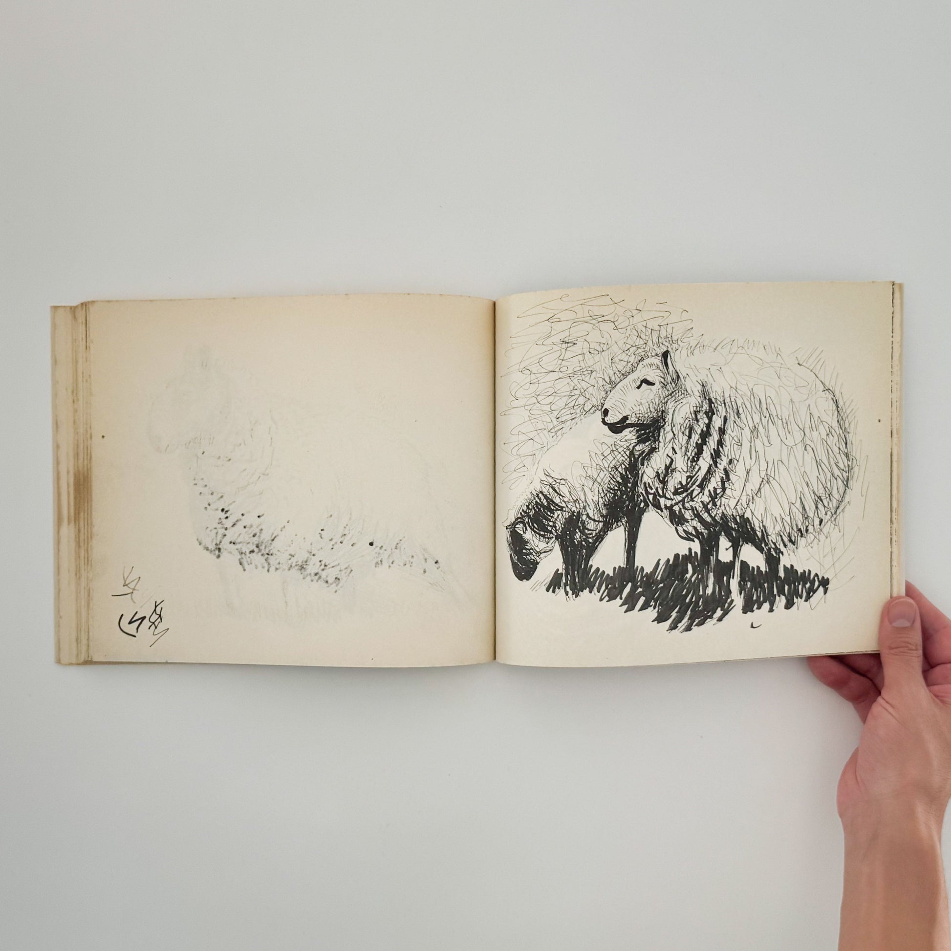 ヘンリー・ムーア　羊のスケッチブック Henry Moore's Sheep Sketchbook THAMES AND HUDSON