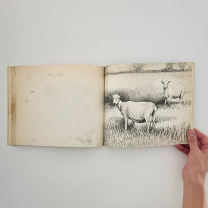 ヘンリー・ムーア　羊のスケッチブック Henry Moore's Sheep Sketchbook THAMES AND HUDSON