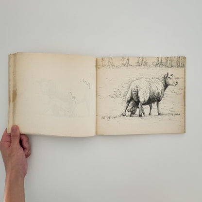 ヘンリー・ムーア　羊のスケッチブック Henry Moore's Sheep Sketchbook THAMES AND HUDSON