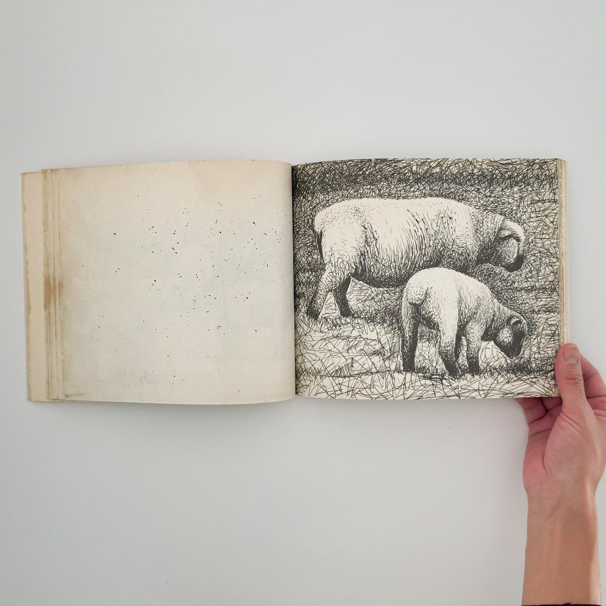 ヘンリー・ムーア　羊のスケッチブック Henry Moore's Sheep Sketchbook THAMES AND HUDSON