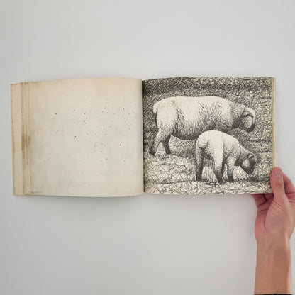 ヘンリー・ムーア　羊のスケッチブック Henry Moore's Sheep Sketchbook THAMES AND HUDSON