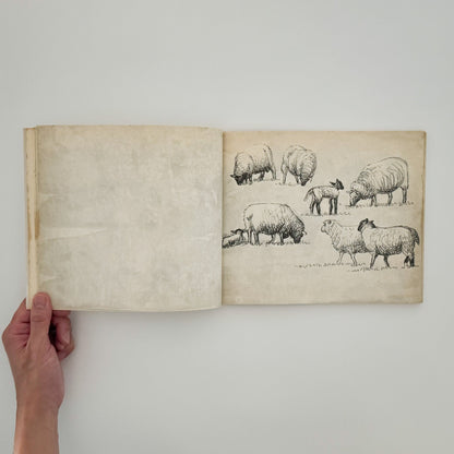 ヘンリー・ムーア　羊のスケッチブック Henry Moore's Sheep Sketchbook THAMES AND HUDSON