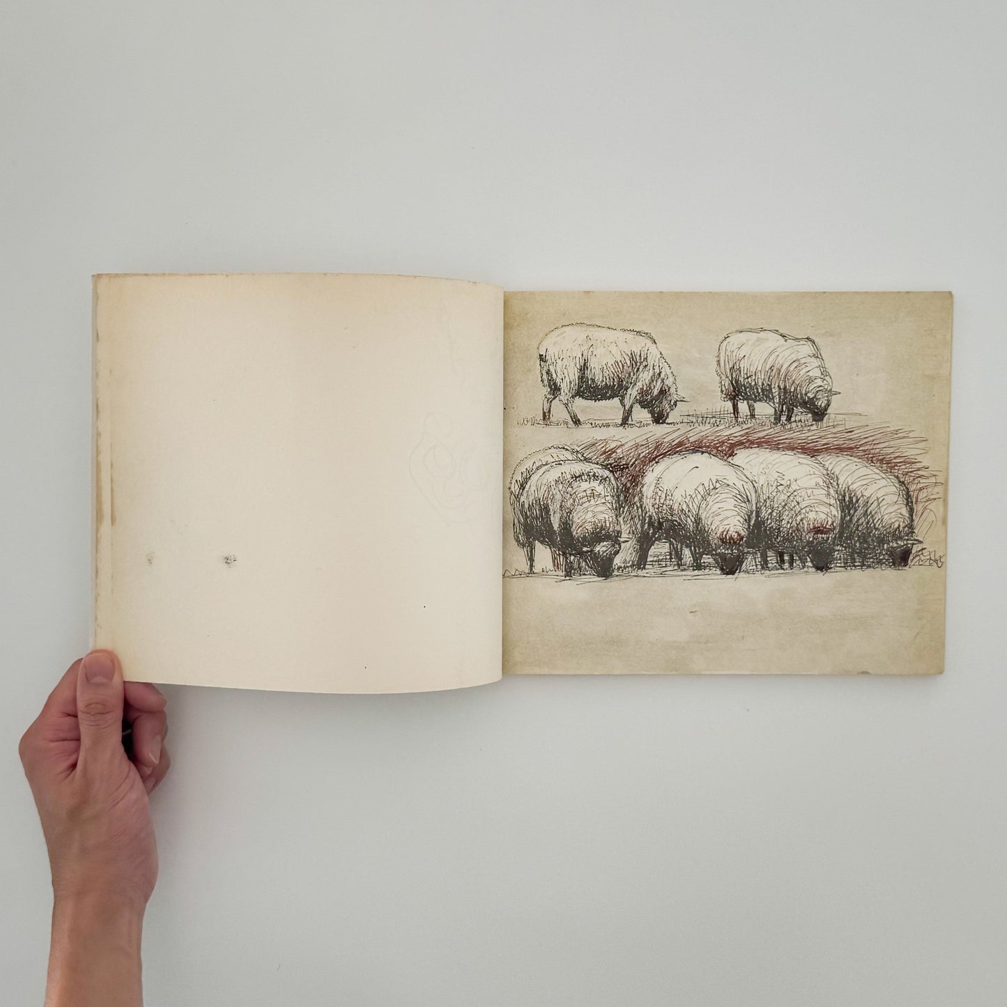 ヘンリー・ムーア　羊のスケッチブック Henry Moore's Sheep Sketchbook THAMES AND HUDSON