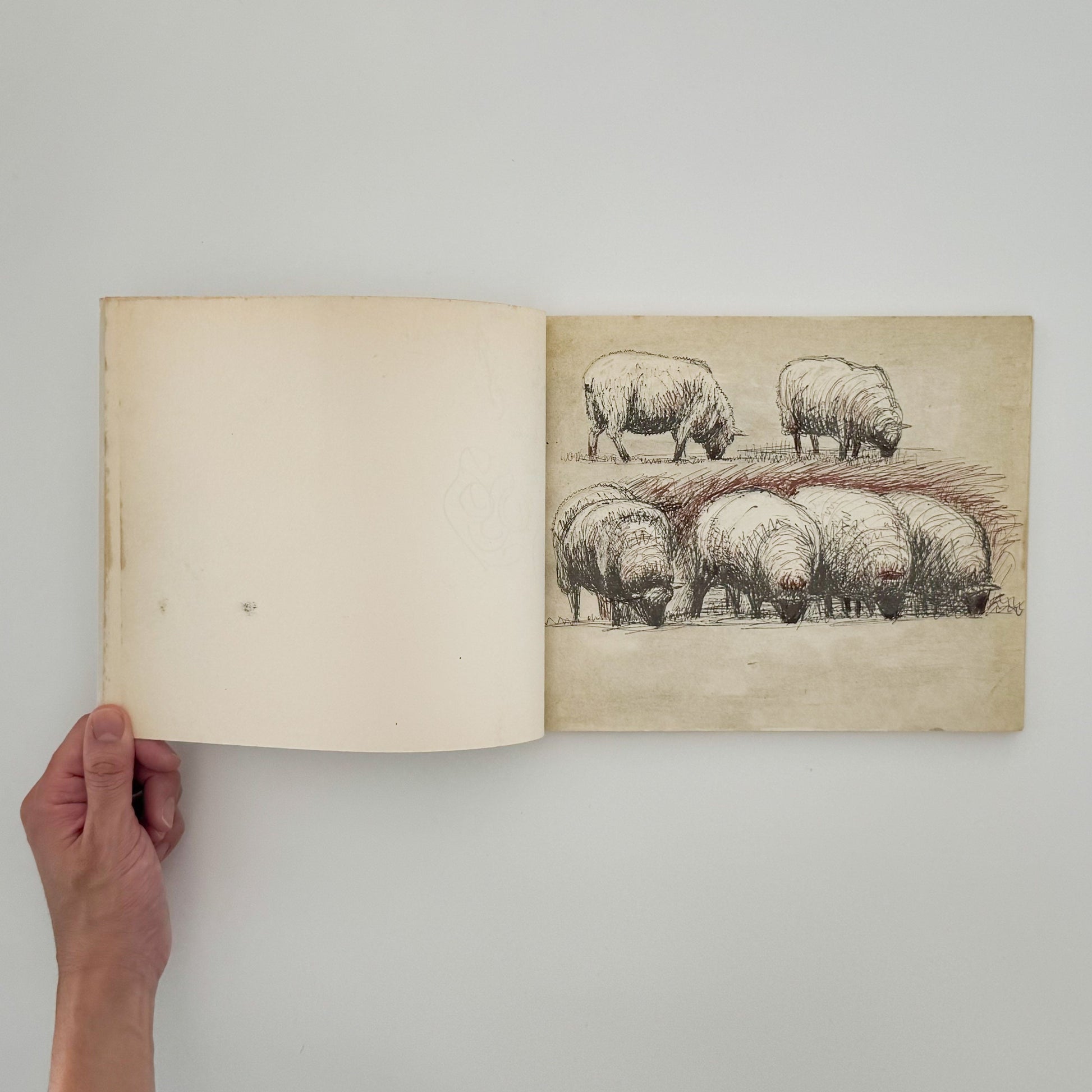 ヘンリー・ムーア　羊のスケッチブック Henry Moore's Sheep Sketchbook THAMES AND HUDSON