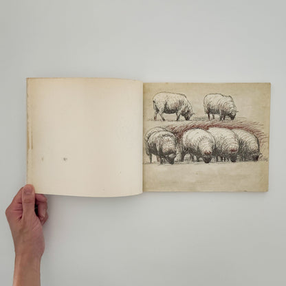 ヘンリー・ムーア　羊のスケッチブック Henry Moore's Sheep Sketchbook THAMES AND HUDSON