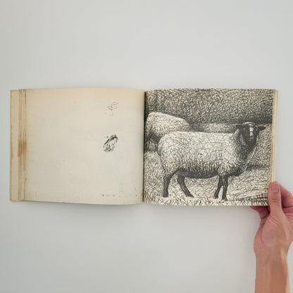ヘンリー・ムーア　羊のスケッチブック Henry Moore's Sheep Sketchbook THAMES AND HUDSON