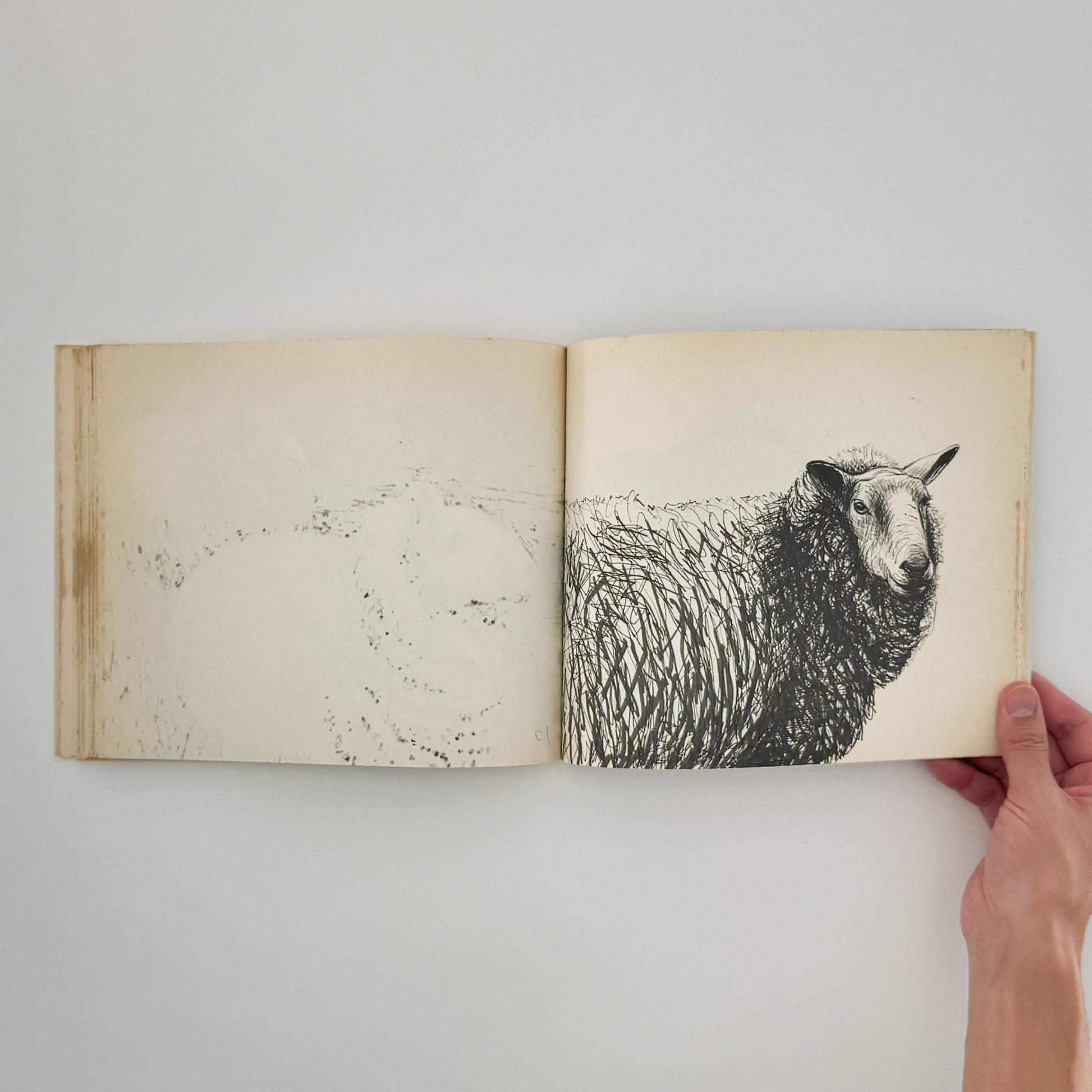 ヘンリー・ムーア　羊のスケッチブック Henry Moore's Sheep Sketchbook THAMES AND HUDSON
