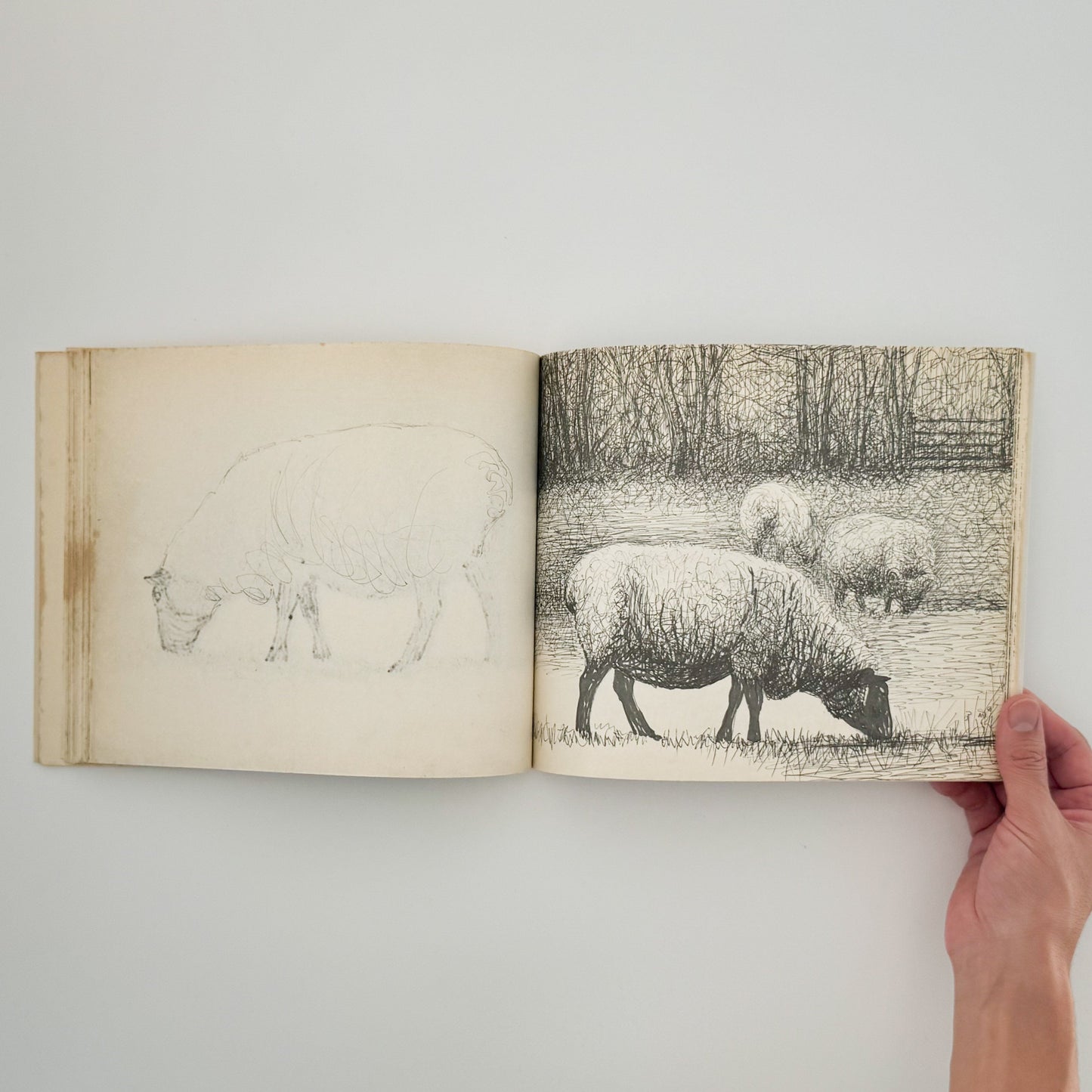 ヘンリー・ムーア　羊のスケッチブック Henry Moore's Sheep Sketchbook THAMES AND HUDSON