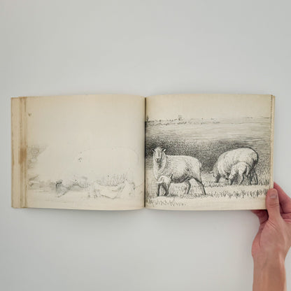 ヘンリー・ムーア　羊のスケッチブック Henry Moore's Sheep Sketchbook THAMES AND HUDSON