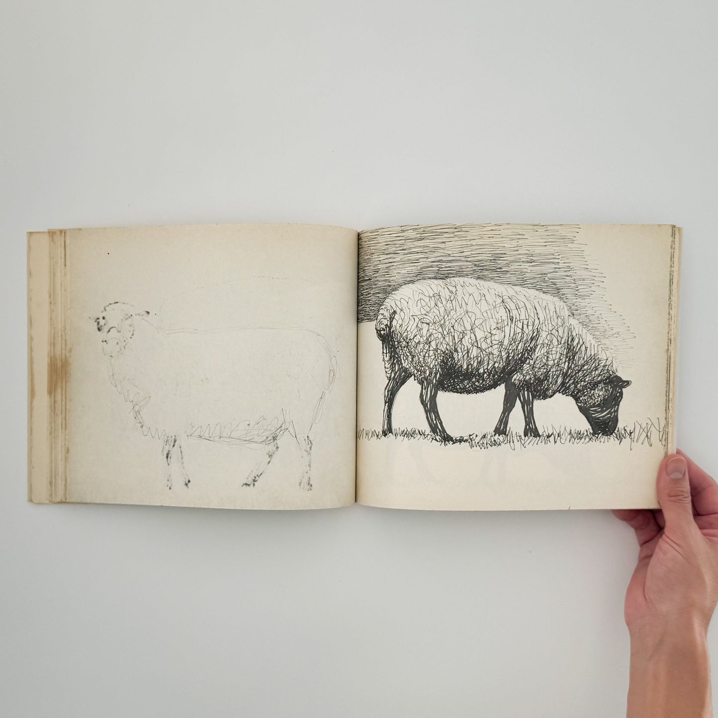 ヘンリー・ムーア　羊のスケッチブック Henry Moore's Sheep Sketchbook THAMES AND HUDSON