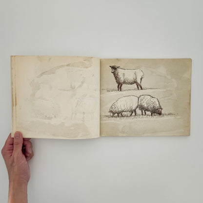ヘンリー・ムーア　羊のスケッチブック Henry Moore's Sheep Sketchbook THAMES AND HUDSON