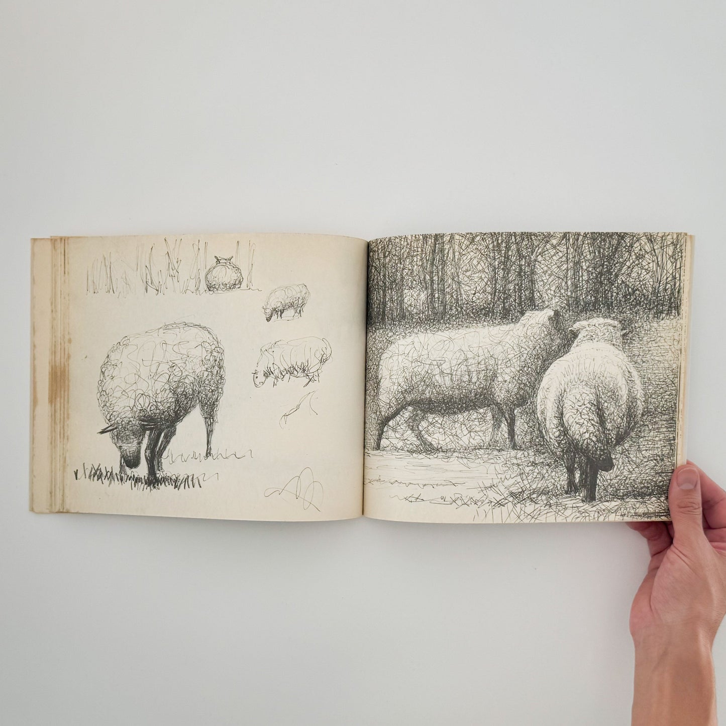 ヘンリー・ムーア　羊のスケッチブック Henry Moore's Sheep Sketchbook THAMES AND HUDSON