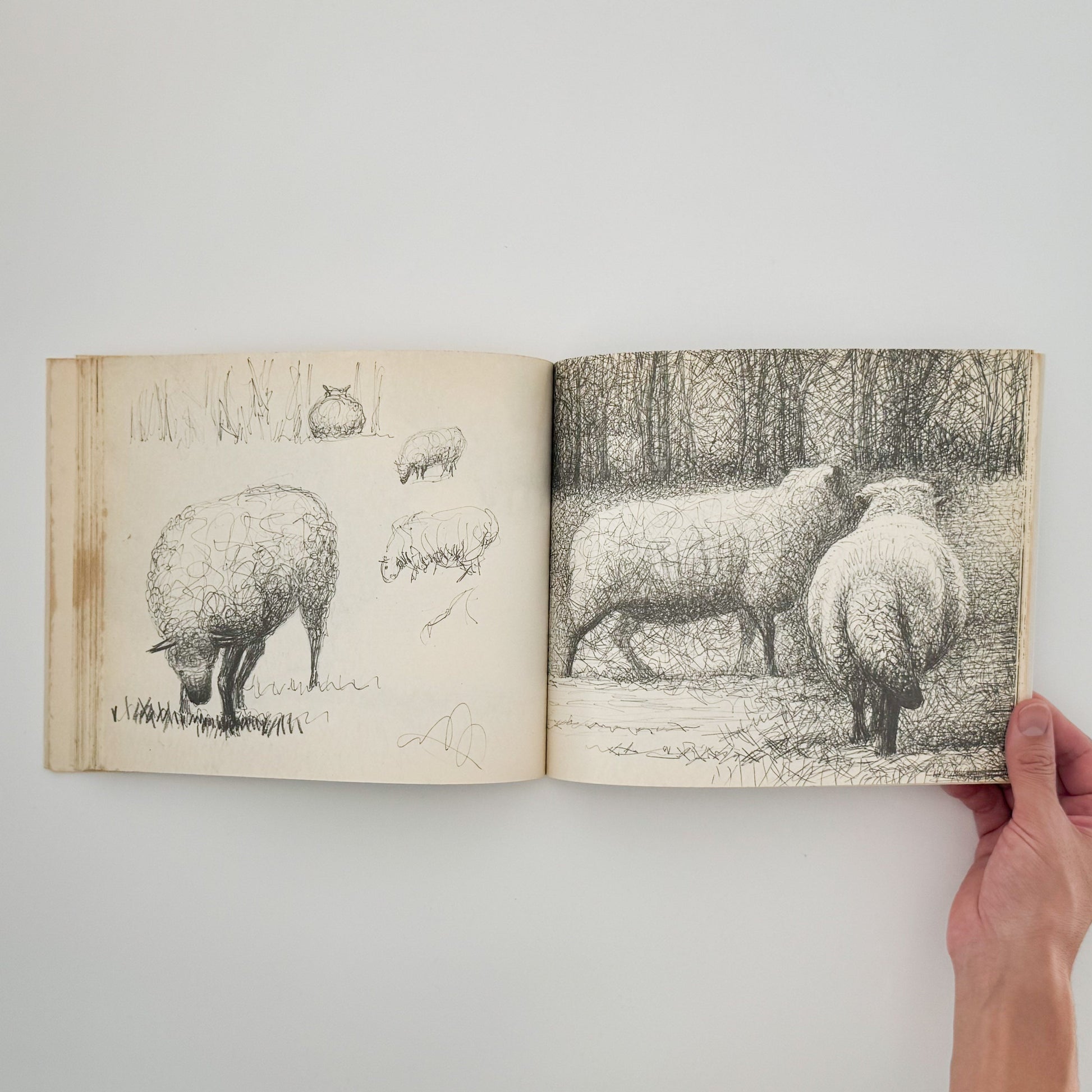 ヘンリー・ムーア　羊のスケッチブック Henry Moore's Sheep Sketchbook THAMES AND HUDSON