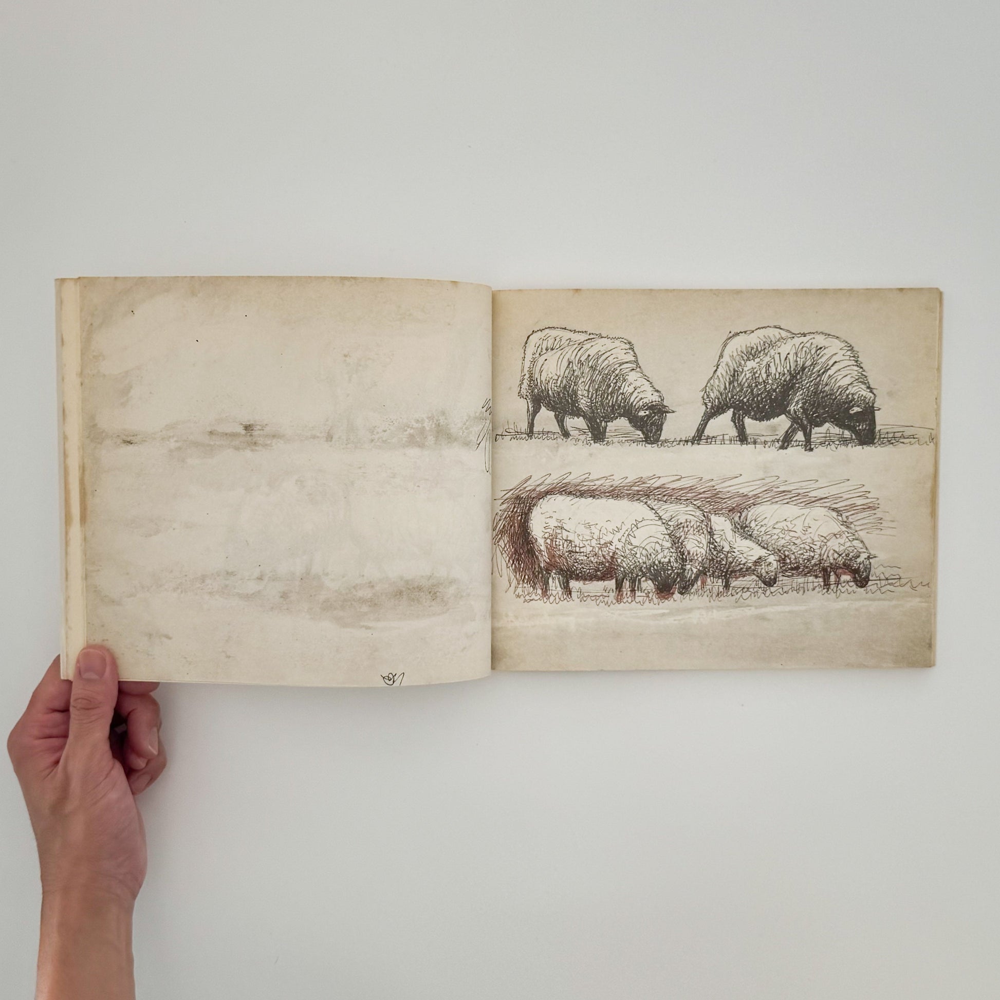 ヘンリー・ムーア　羊のスケッチブック Henry Moore's Sheep Sketchbook THAMES AND HUDSON
