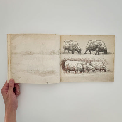 ヘンリー・ムーア　羊のスケッチブック Henry Moore's Sheep Sketchbook THAMES AND HUDSON