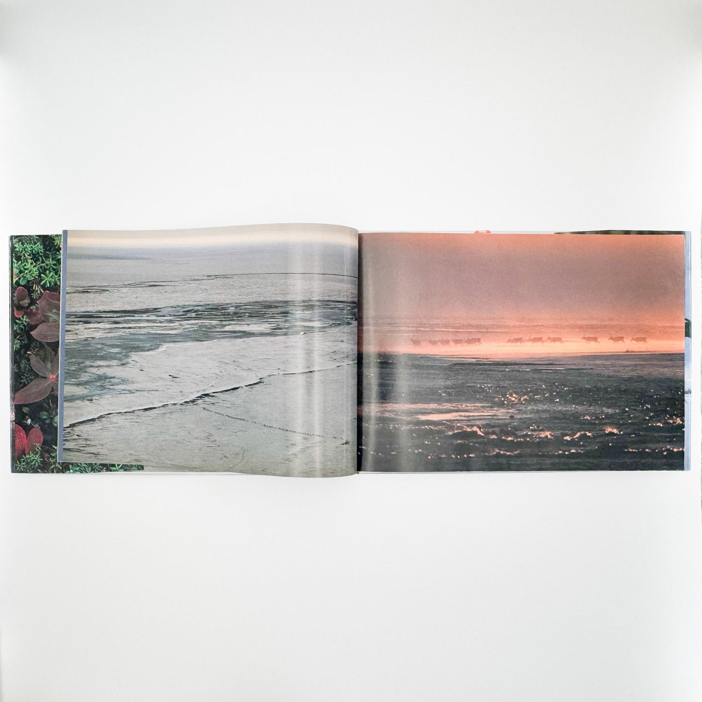 星野道夫　Alaska アラスカ　極北・生命の地図（サイン入り） 朝日新聞社