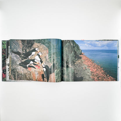 星野道夫　Alaska アラスカ　極北・生命の地図（サイン入り） 朝日新聞社