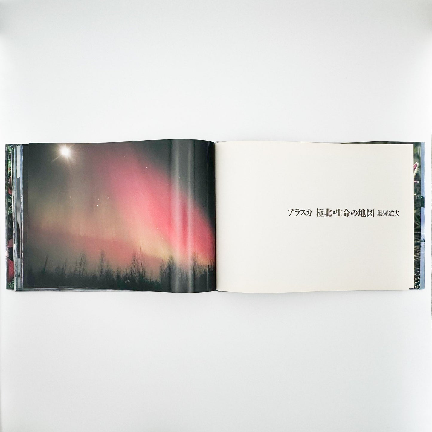 星野道夫　Alaska アラスカ　極北・生命の地図（サイン入り） 朝日新聞社