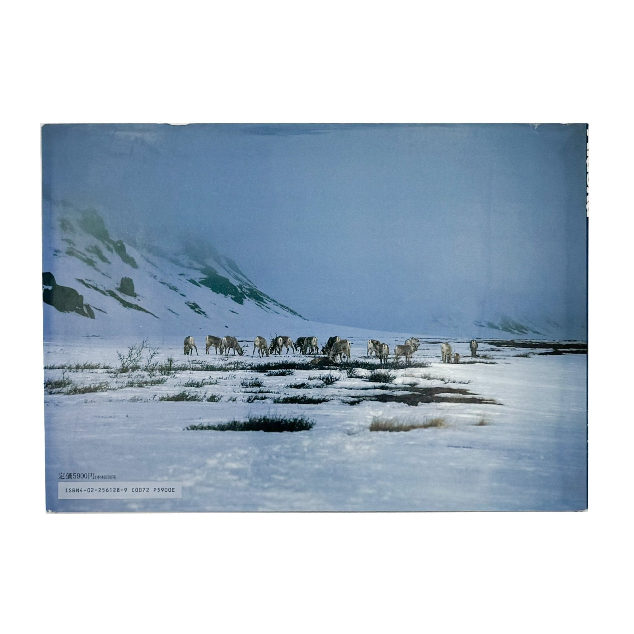 Alaska アラスカ 極北・生命の地図（サイン入り） – 文福