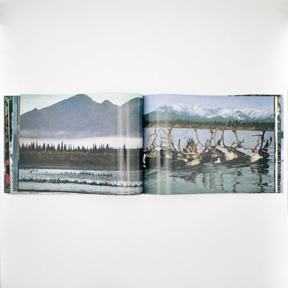 星野道夫　Alaska アラスカ　極北・生命の地図（サイン入り） 朝日新聞社