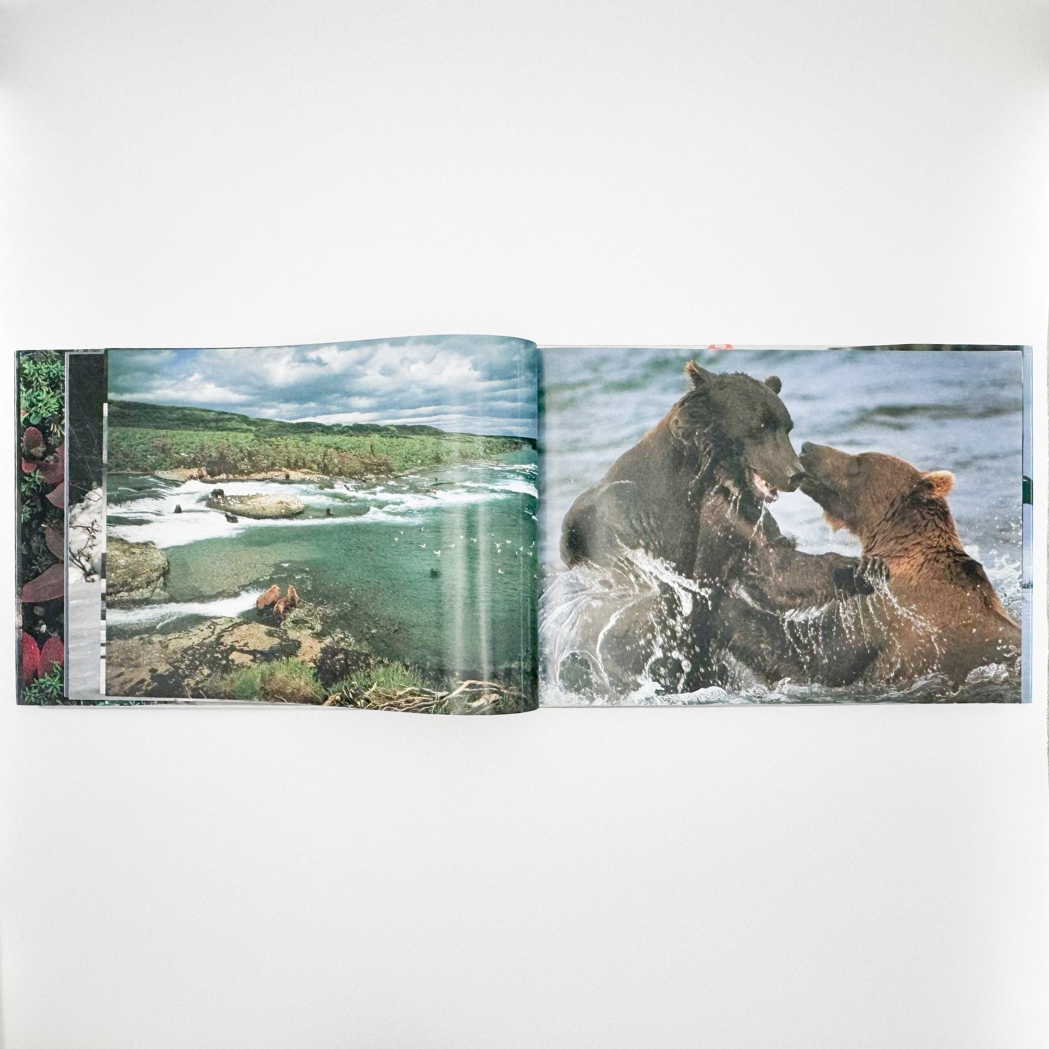 星野道夫 Alaska アラスカ 極北・生命の地図（サイン入り） – 文福