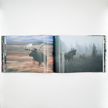 星野道夫　Alaska アラスカ　極北・生命の地図（サイン入り） 朝日新聞社