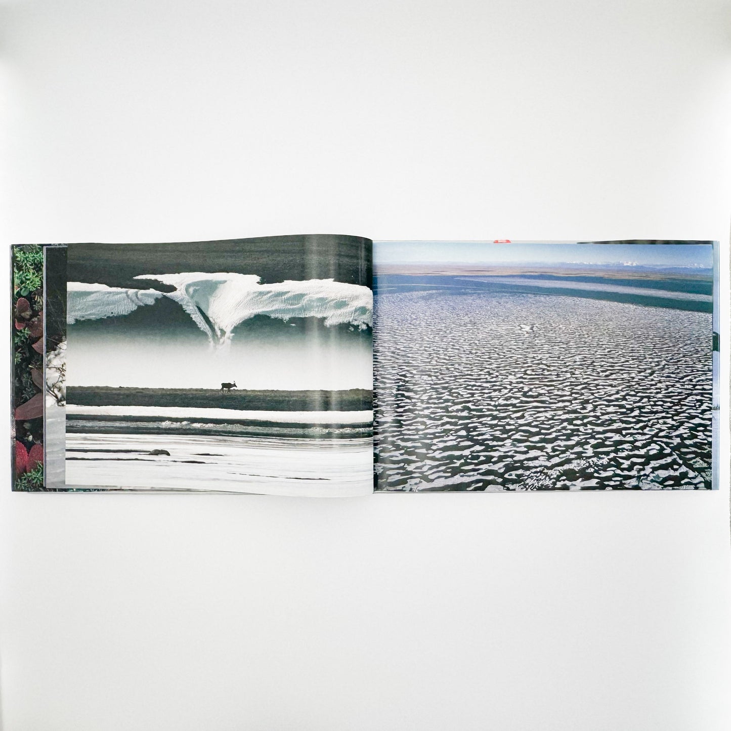 星野道夫　Alaska アラスカ　極北・生命の地図（サイン入り） 朝日新聞社