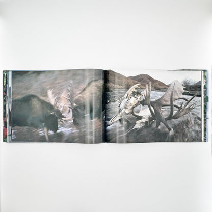 星野道夫　Alaska アラスカ　極北・生命の地図（サイン入り） 朝日新聞社