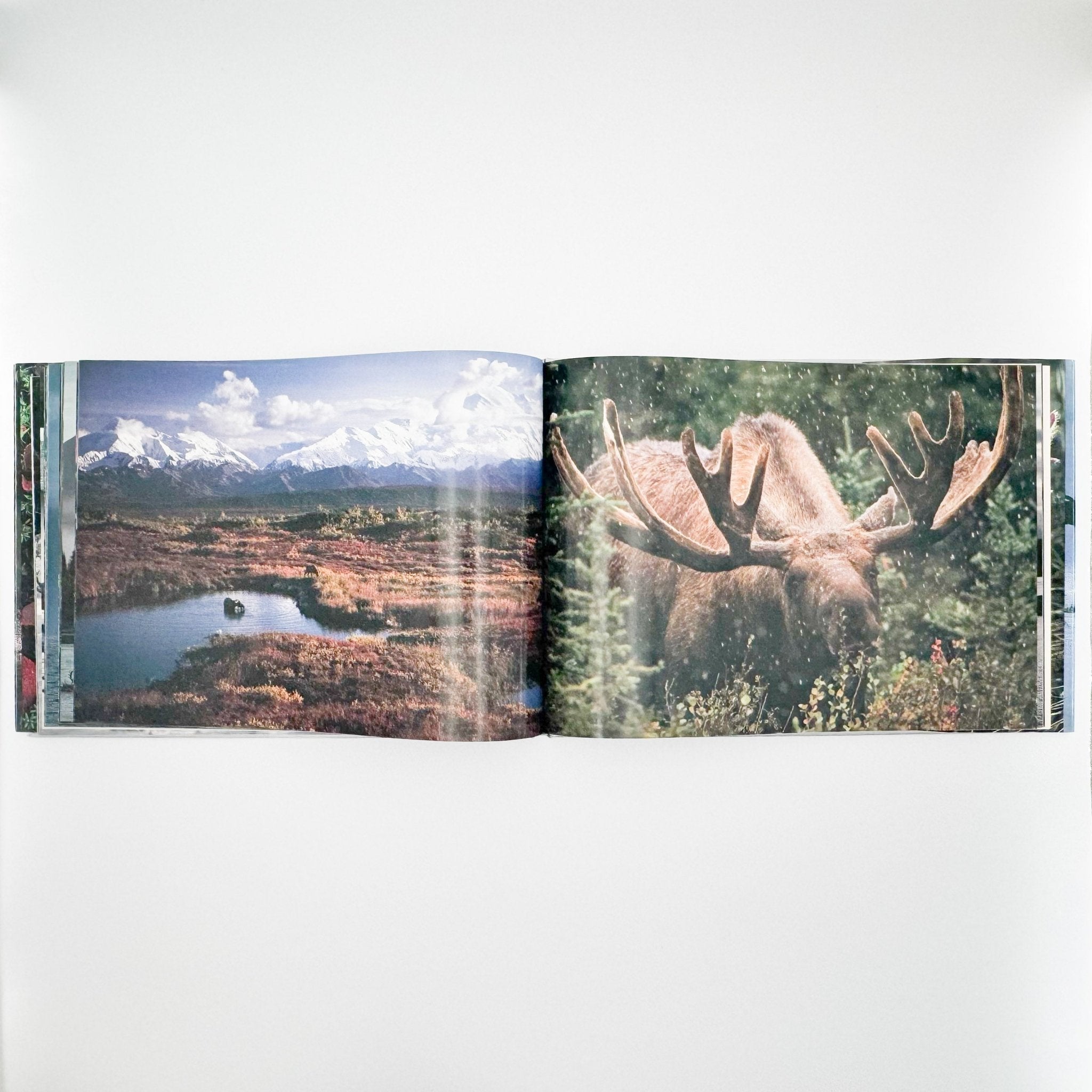 星野道夫 Alaska アラスカ 極北・生命の地図（サイン入り） – 文福