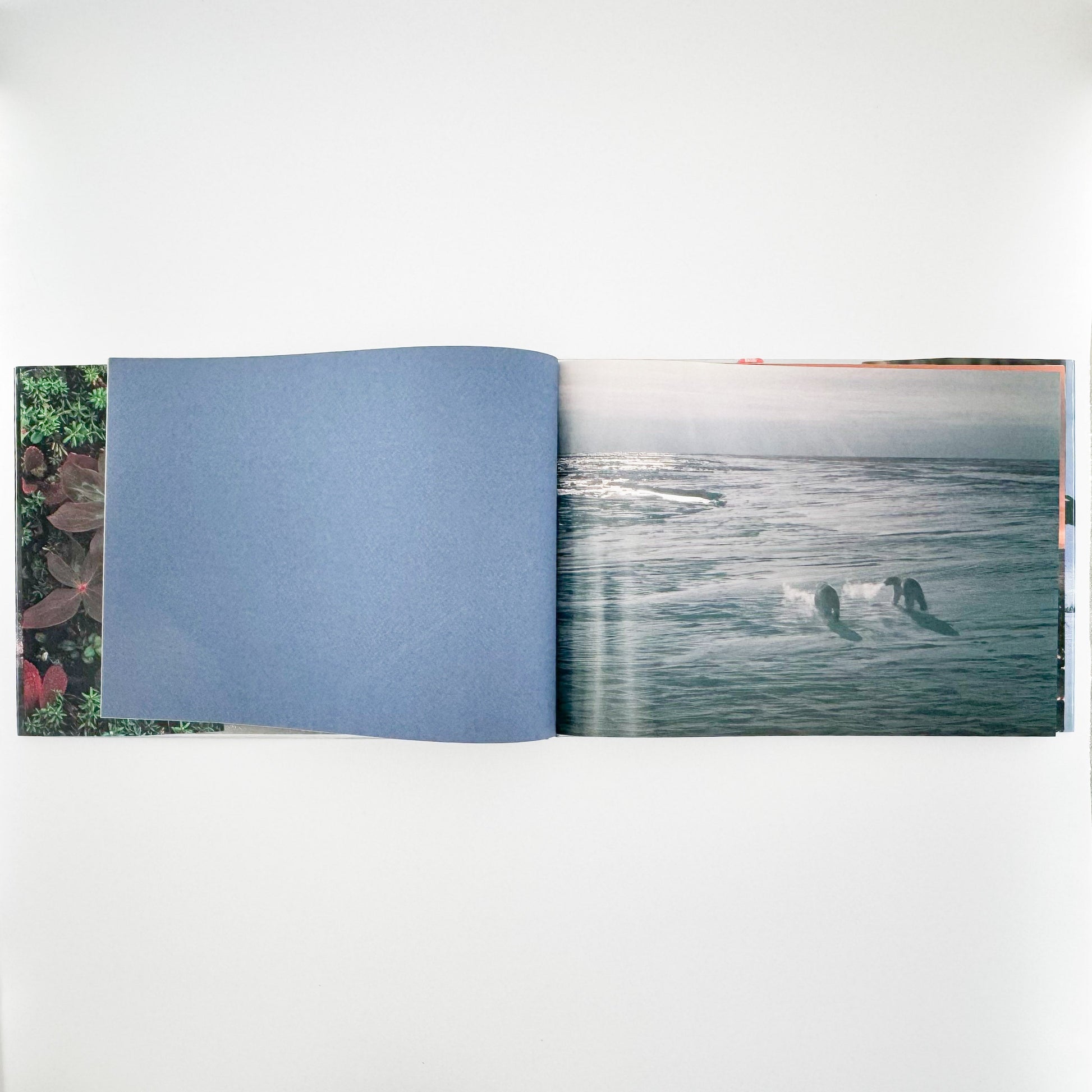 星野道夫　Alaska アラスカ　極北・生命の地図（サイン入り） 朝日新聞社