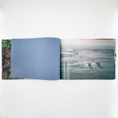 星野道夫　Alaska アラスカ　極北・生命の地図（サイン入り） 朝日新聞社