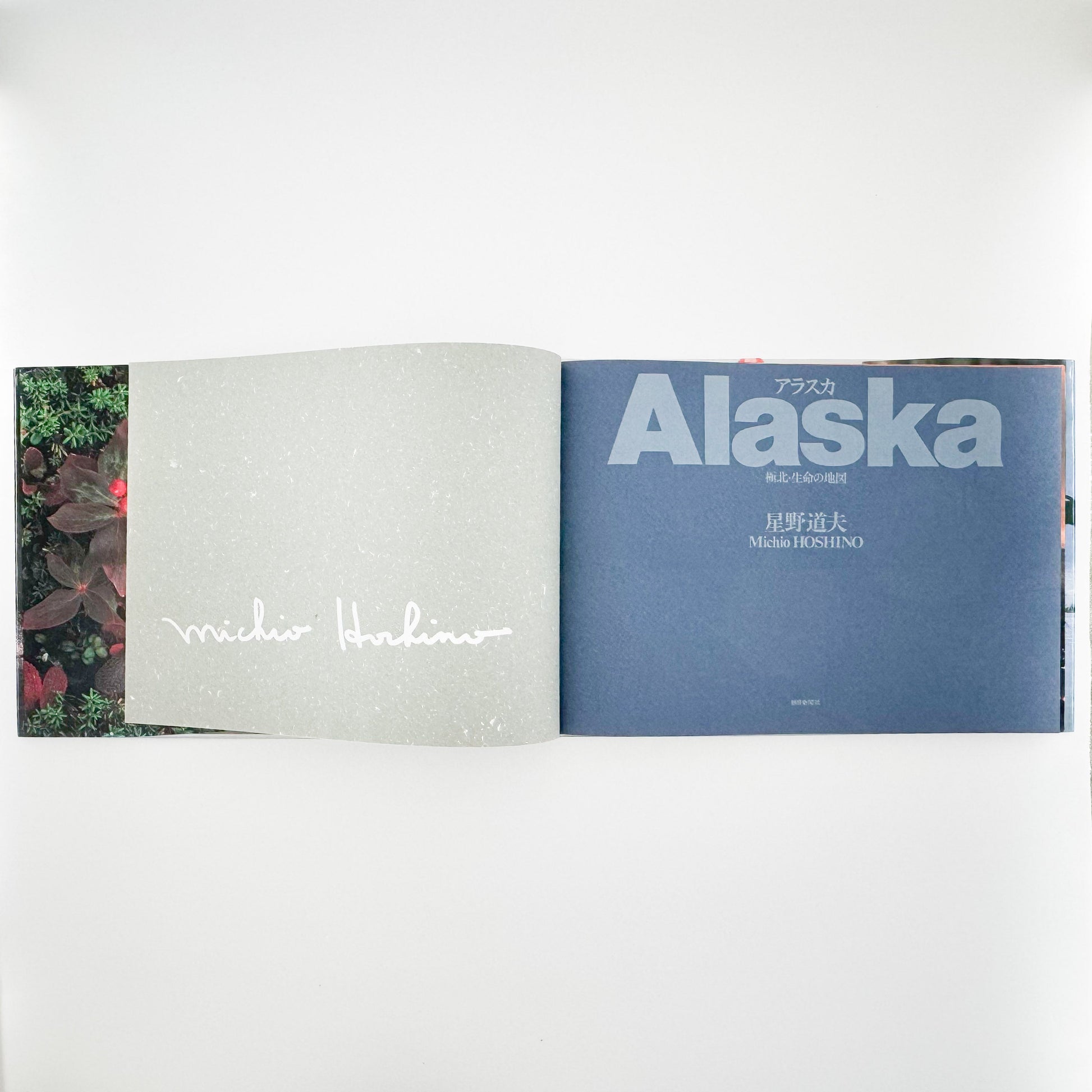星野道夫　Alaska アラスカ　極北・生命の地図（サイン入り） 朝日新聞社