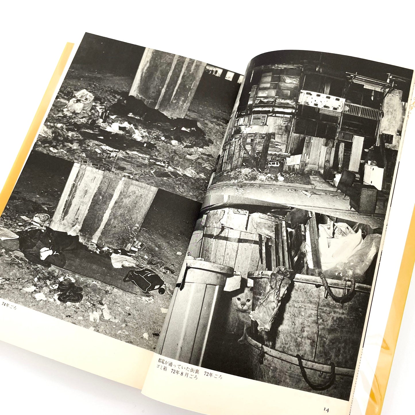 渡辺克巳　新宿群盗伝伝 晩聲社