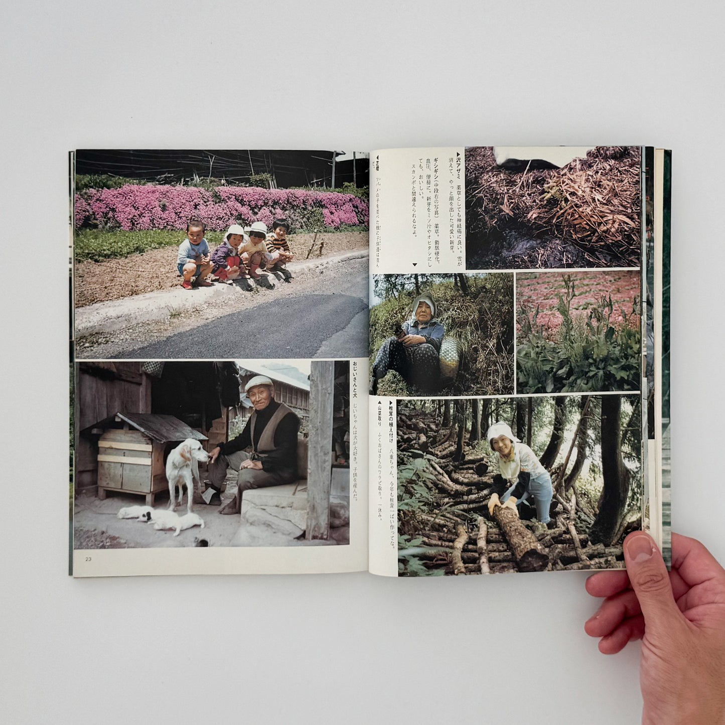 増山たづ子　故郷：私の徳山村写真日記 じゃこめてい出版