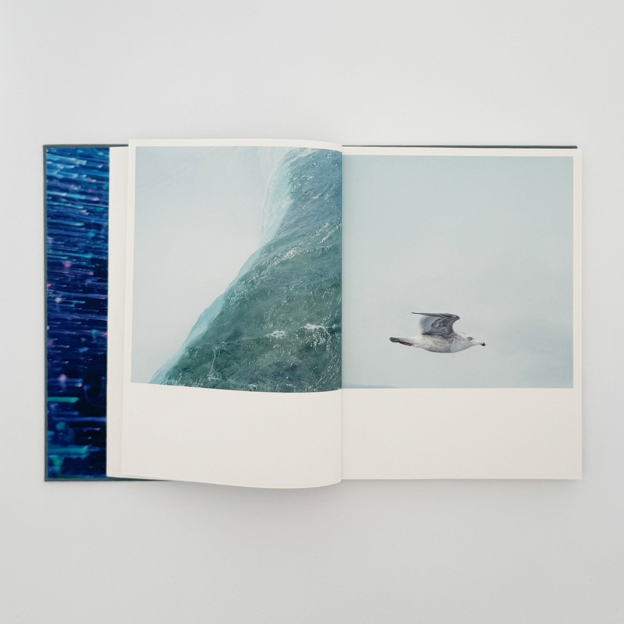 Rinko Kawauchi: Illuminance / FOIL – 文福