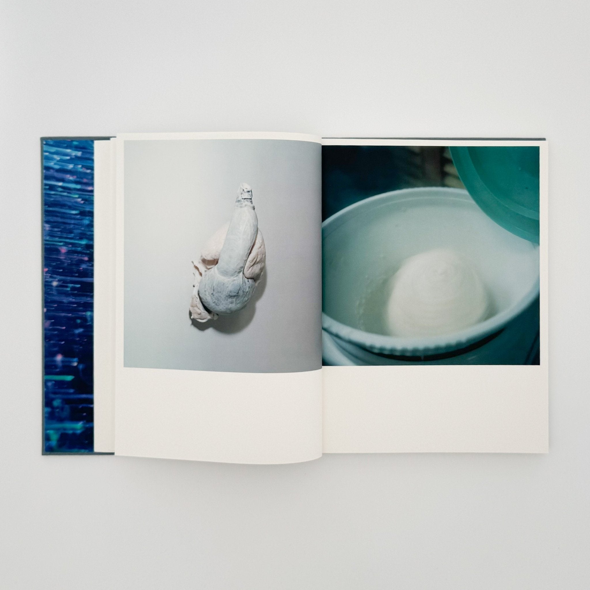 Rinko Kawauchi: Illuminance / FOIL – 文福